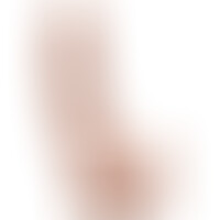 Gode 20,5 cm avec Testicules Naturel
