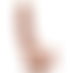 Gode 20,5 cm avec Testicules Naturel