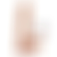 Gode Dual Density 17 cm avec Testicules Naturel