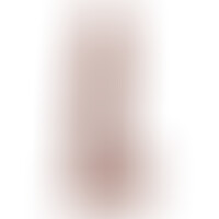20 Pene Realistico
