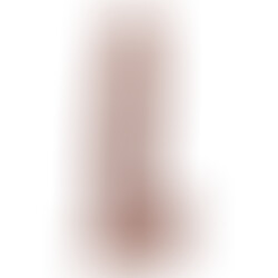 20 Pene Realistico