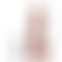 20 Pene Realistico