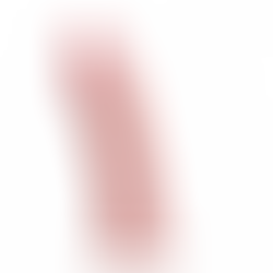 Dildo Realista Terence Medium