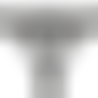 Harnais Creux avec Gode 16 x 3 cm