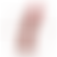 Harnais Creux avec Gode 16 x 3 cm