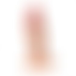 Pene Anal