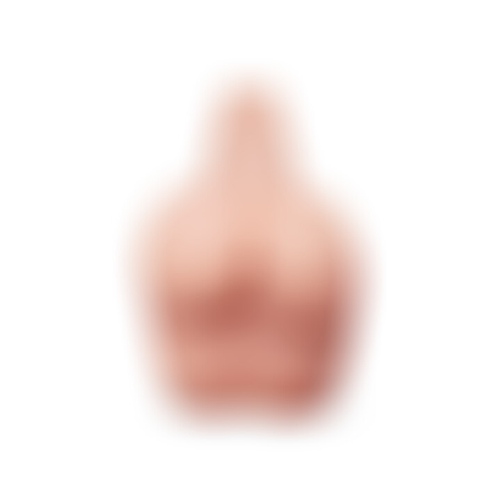 Masturbateur Pénis et Fesses Extreme Toyz