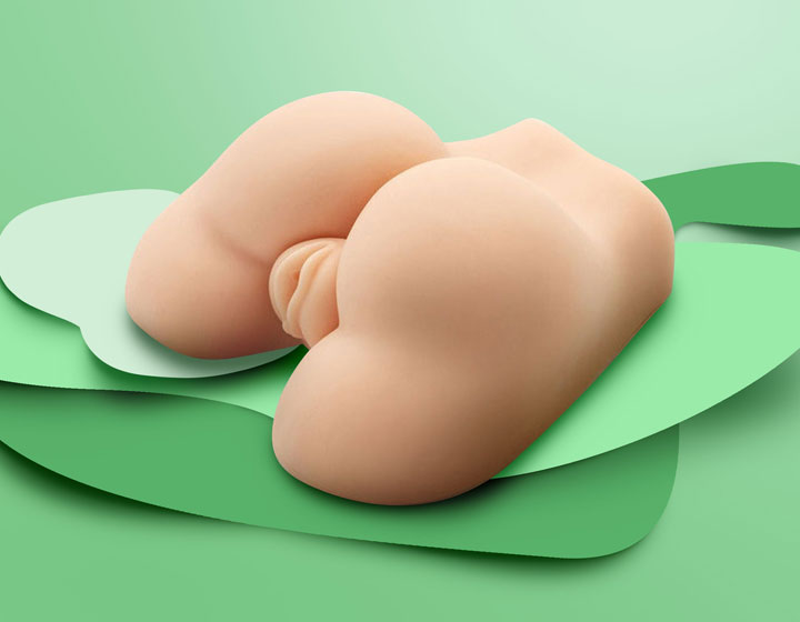 Vagins et anus